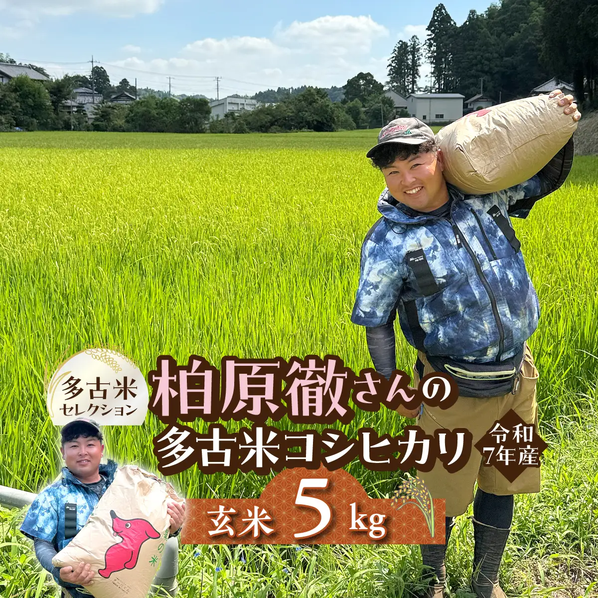 多古米セレクション　柏原徹さんの多古米コシヒカリ　玄米5kg　令和7年産【配送不可地域：離島・沖縄県】米 白米 千葉県産 ご飯 TAKF063