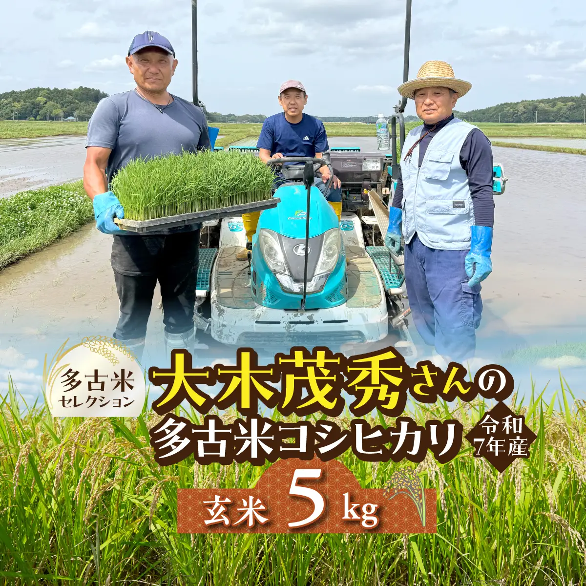 多古米セレクション　大木茂秀さんの多古米コシヒカリ　玄米5kg　令和7年産 【配送不可地域：離島・沖縄県】TAKF057