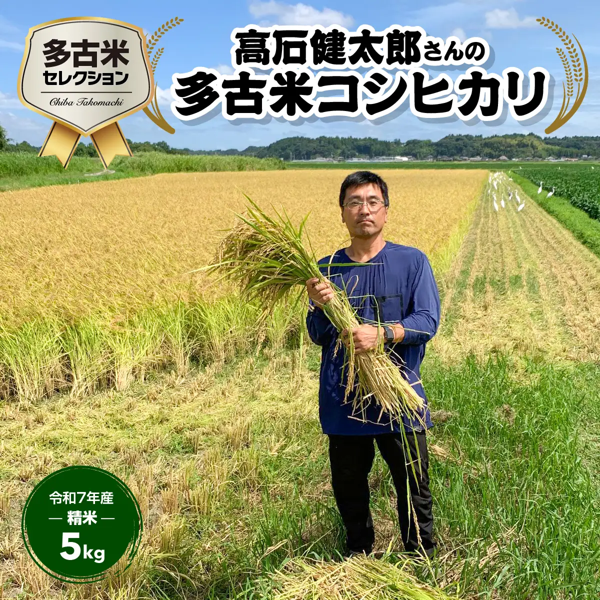多古米セレクション　高石健太郎さんの多古米コシヒカリ　精米5kg　令和7年産 【配送不可地域：離島・沖縄県】TAKF035