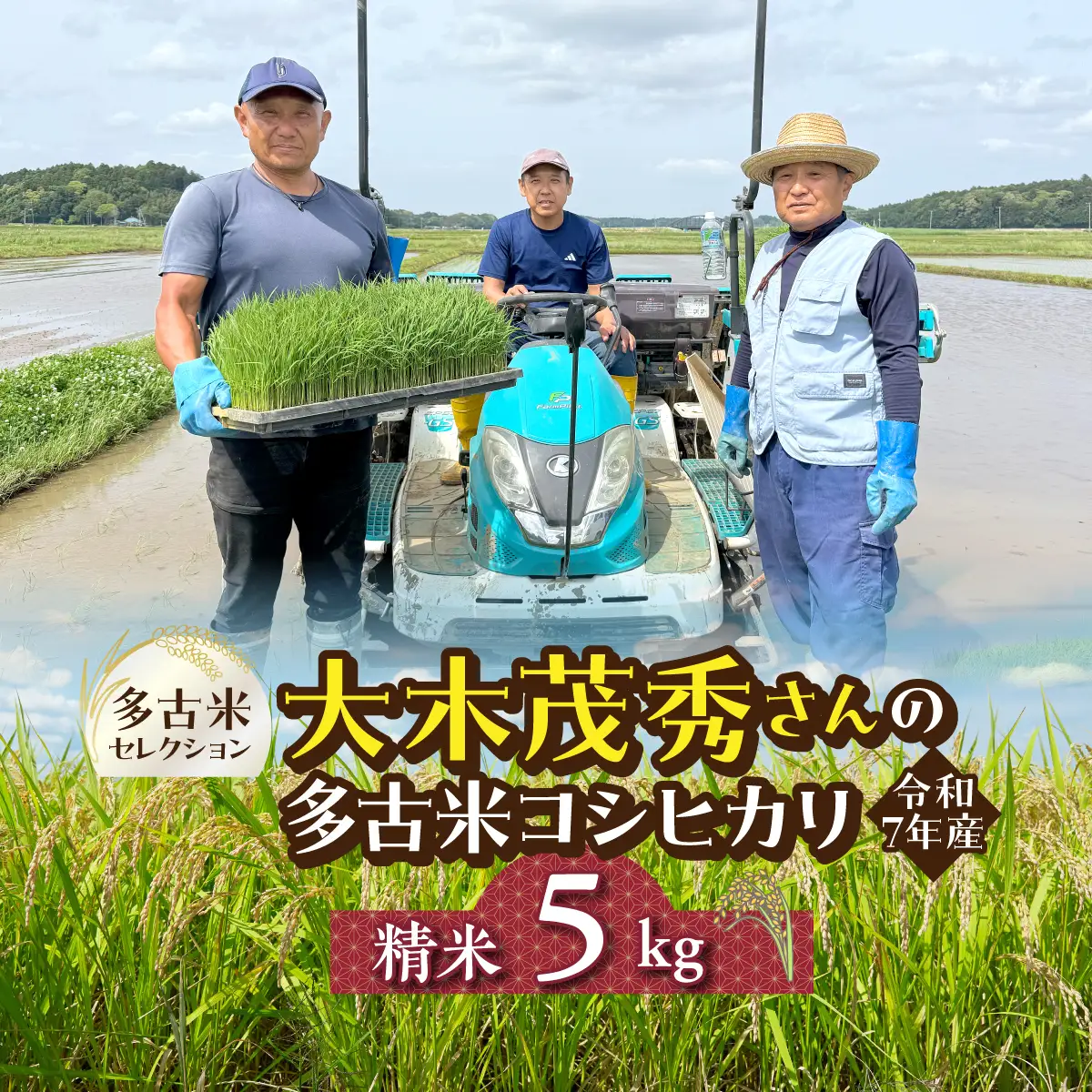 多古米セレクション　大木茂秀さんの多古米コシヒカリ　精米5kg　令和7年産 【配送不可地域：離島・沖縄県】TAKF055