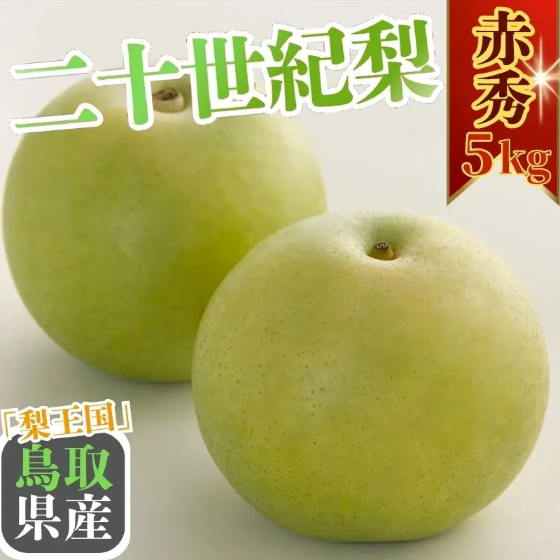 Y1016 二十世紀梨(赤秀) 5kg