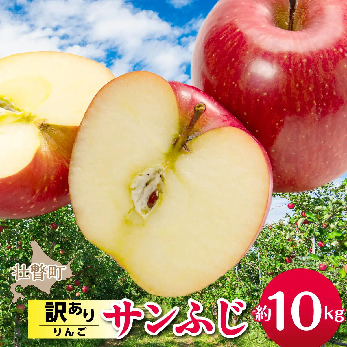 【先行予約】＜2026年12月上旬よりお届け＞北海道壮瞥町　【訳あり】りんご　品種名「サンふじ」約10kg SBTF030