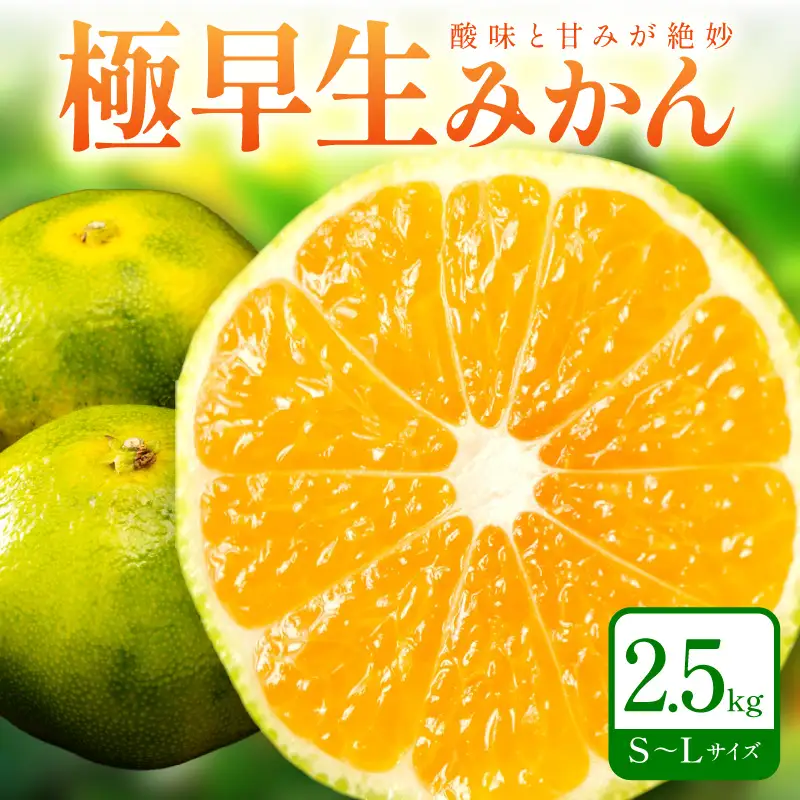 【1212】極早生みかん 2.5kg 和歌山産 甘酸っぱいみかん