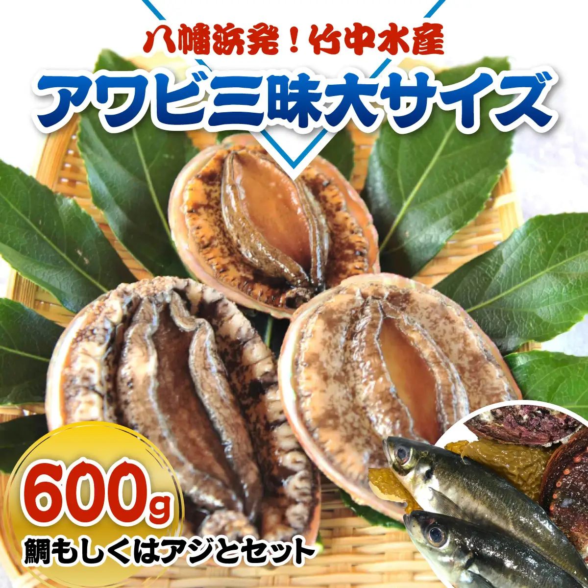 八幡浜発!竹中水産の「アワビ三昧大サイズ」600g(鯛もしくはアジとセット)　【H22-212】【配送不可地域：離島・北海道・沖縄県】【1043108】 YWTM030