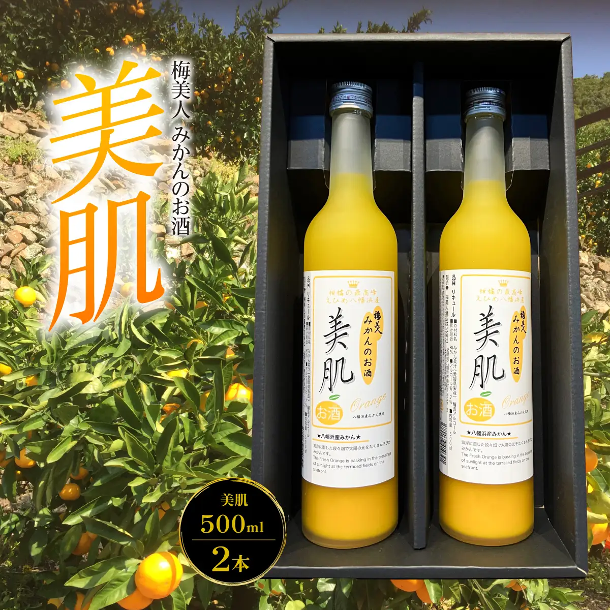 美肌500ml2本セット【C03-10】【1043419】 YWTO006