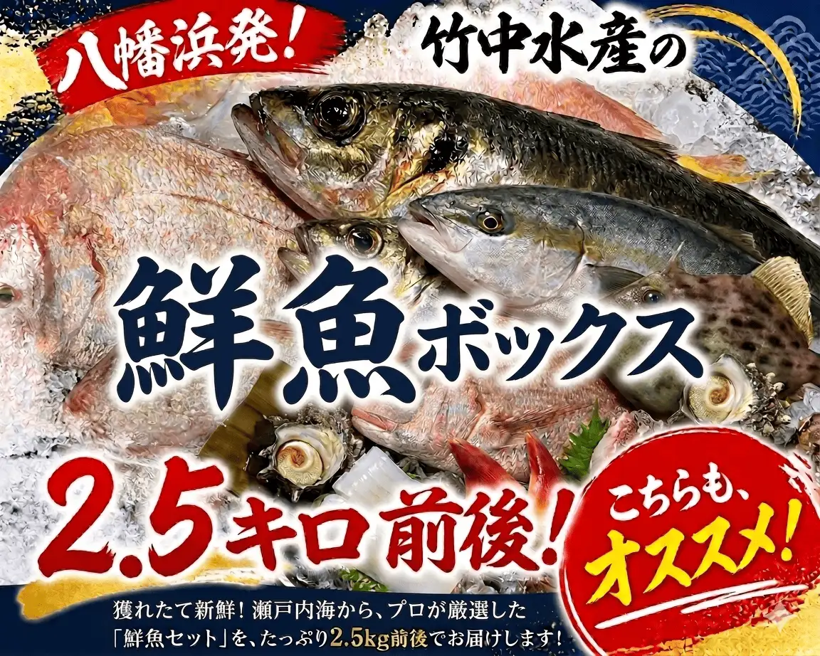 竹中水産の一押し「お任せ鮮魚!」2.5キロ前後【G22-237】【配送不可地域：離島・北海道・沖縄県】【1073398】 YWTM055
