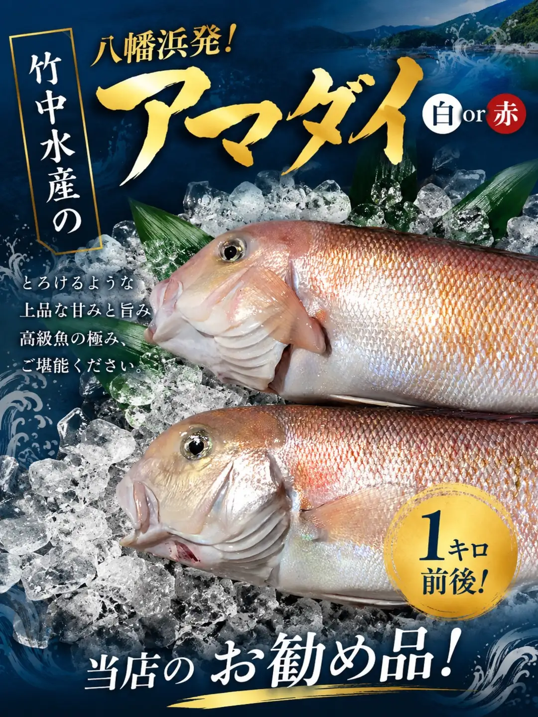 竹中水産の「甘鯛」(赤又は白)約1キロ【F22-260】【配送不可地域：離島・北海道・沖縄県】【1075512】 YWTM078