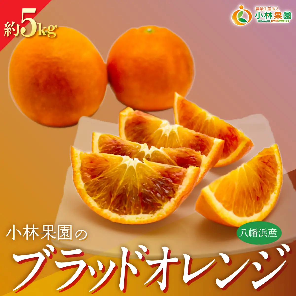 【先行受付】小林果園のブラッドオレンジ(約5kg)【C24-24】【1124430】 YWTAD017