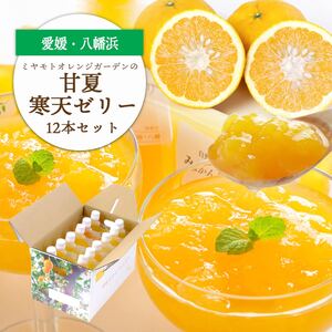 ほろ苦く甘酸っぱいさわやかな味わい 愛媛産 甘夏寒天ゼリー12本セット【D25-17】【1255524】 YWTAP010