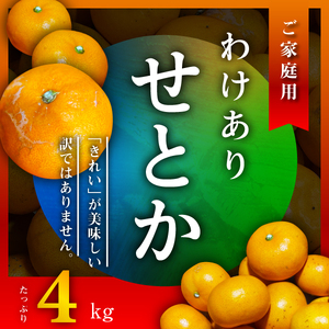 【先行受付】三代目のわけありせとか4kg【サイズ不揃い・傷】【C31-34】【配送不可地域：離島】【1488065】 YWTAC023