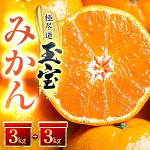 【愛媛名産】玉宝みかん【雫 ・・ 小玉】(3kg×2箱)【D64-4】【1340917】 YWTY004