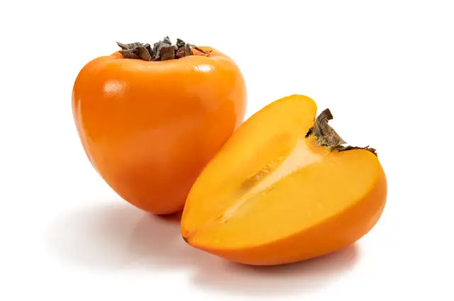 【2026年発送】目利きのプロが選ぶ　訳あり富士柿10kg【E56-38】【1452169】 YWTAS029