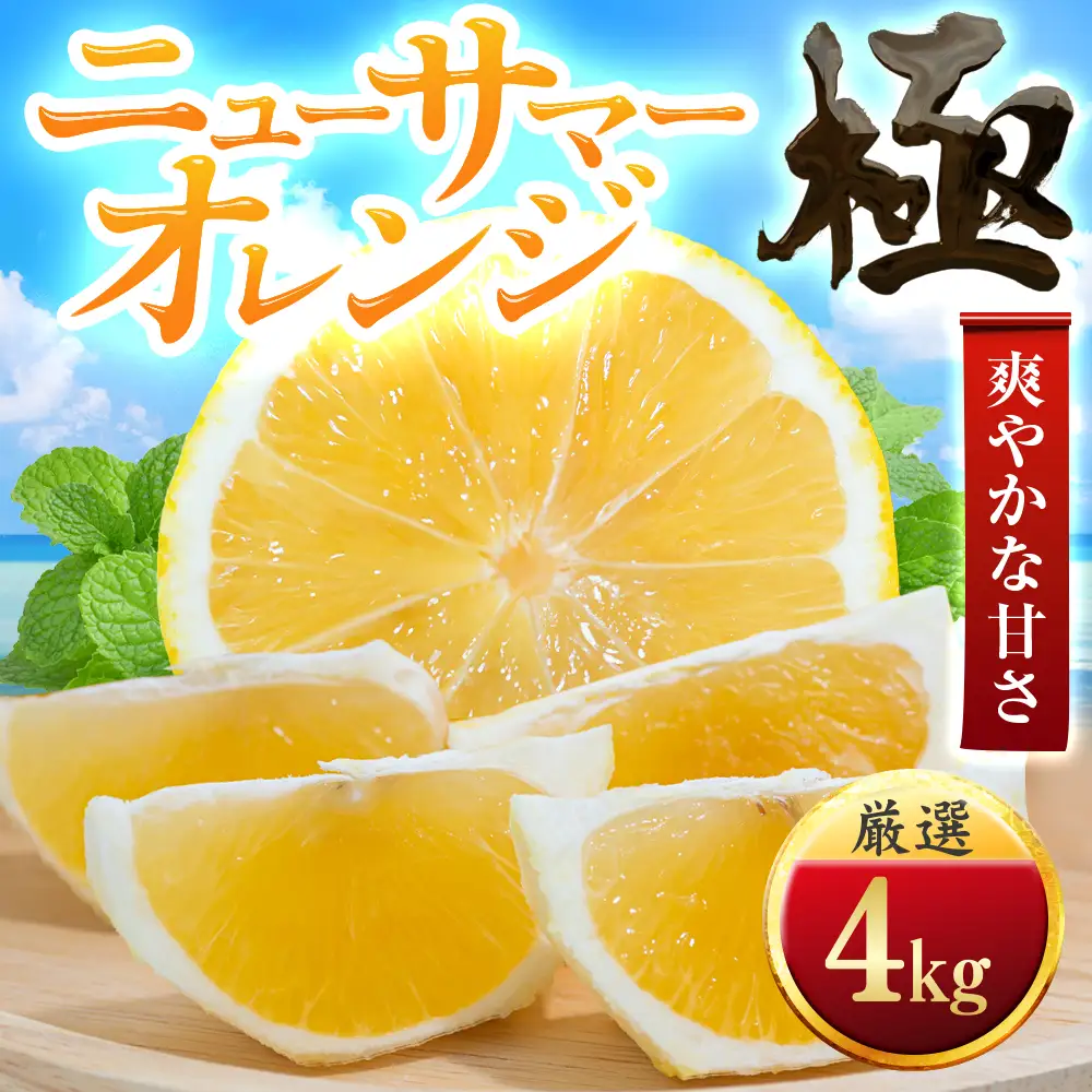 【先行受付】【太陽をたっぷり浴びた】ニューサマーオレンジ【極】4kg【C49-57】【1509760】 YWTZ049