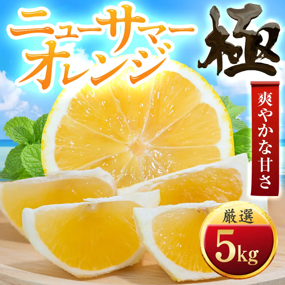 【先行受付】【太陽をたっぷり浴びた】ニューサマーオレンジ【極】5kg【E49-58】【1509761】 YWTZ050