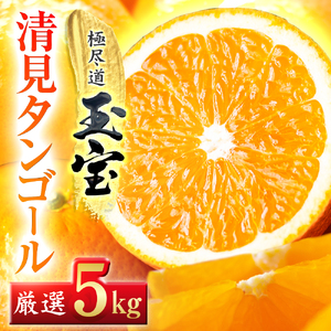 【先行受付】【愛媛名産】玉宝清見タンゴール　5kg【C64-35】【1510847】 YWTY024