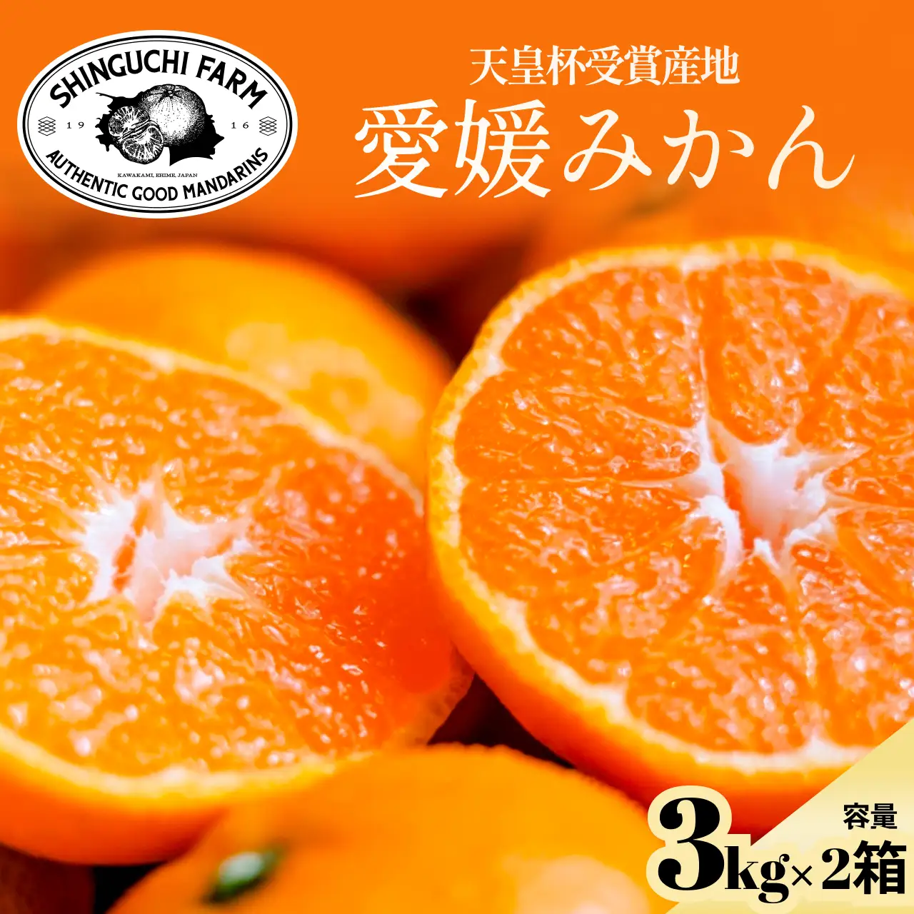 【太陽の旨みがギュッと凝縮】愛媛みかん3kg×2箱 農家直送 愛媛県川上産【D70-32】【1536240】 YWTK032