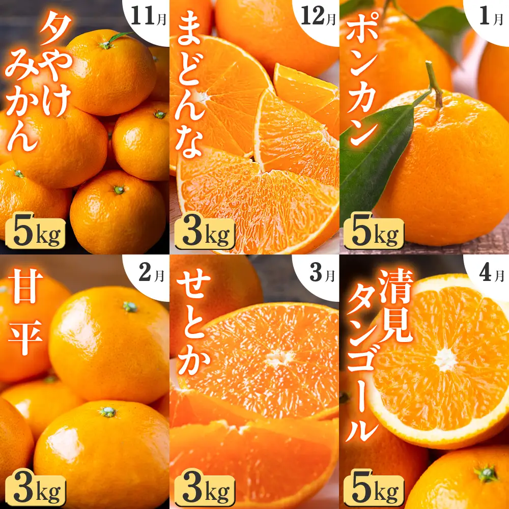 【発送月固定定期便】「こたつの上の冬物語」愛媛限定のまどんなや甘平も届きます!【H49-69】全6回【4055972】 YWTZ001