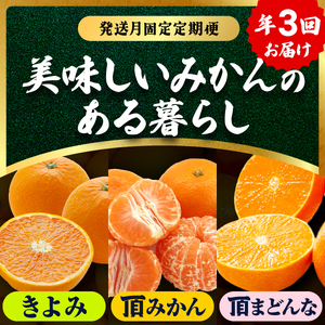 【発送月固定定期便】美味しいみかん柑橘のある暮らし【みかん・まどんな・きよみ】【G31-42】全3回【4058603】 YWTAC031