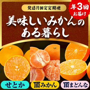 【発送月固定定期便】美味しいみかん柑橘のある暮らし【みかん・まどんな・せとか】【G31-43】全3回【配送不可地域：離島】【4058604】 YWTAC032