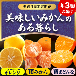 【発送月固定定期便】美味しい柑橘【みかん・まどんな・ニューサマーオレンジ】【G31-44】全3回【4058606】 YWTAC033
