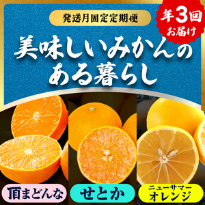 【発送月固定定期便】美味しい柑橘【まどんな・せとか・ニューサマーオレンジ】【G31-45】全3回【配送不可地域：離島】【4058607】 YWTAC034