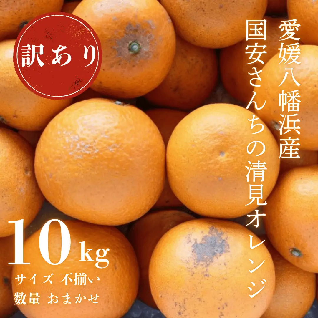 【先行受付】【まるで食べるジュース!越冬完熟品】愛媛産 訳あり 清見オレンジ 10kg【F20-34】【1594861】 YWTI029
