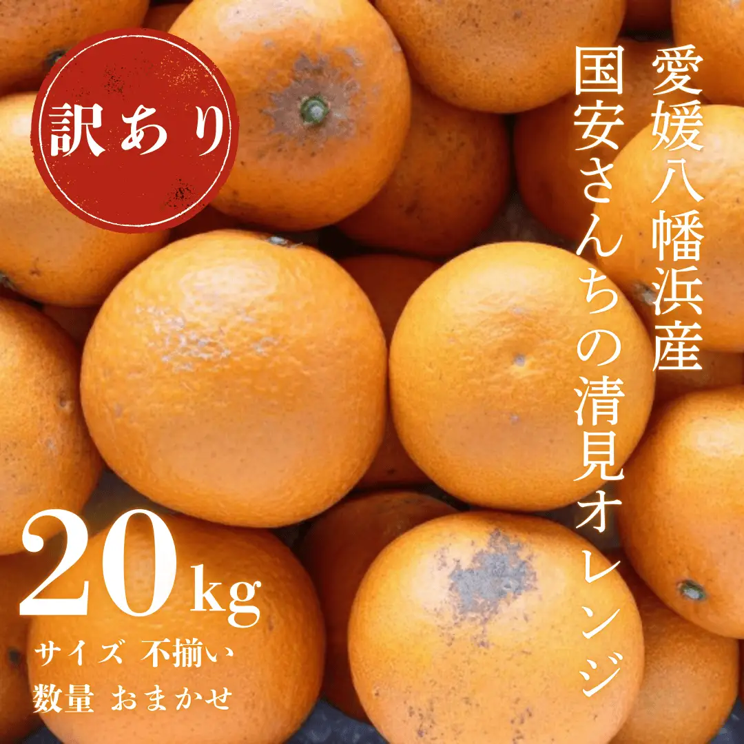 【先行受付】【まるで食べるジュース!越冬完熟品】愛媛産 訳あり 清見オレンジ 20kg【H20-35】【1594863】 YWTI030