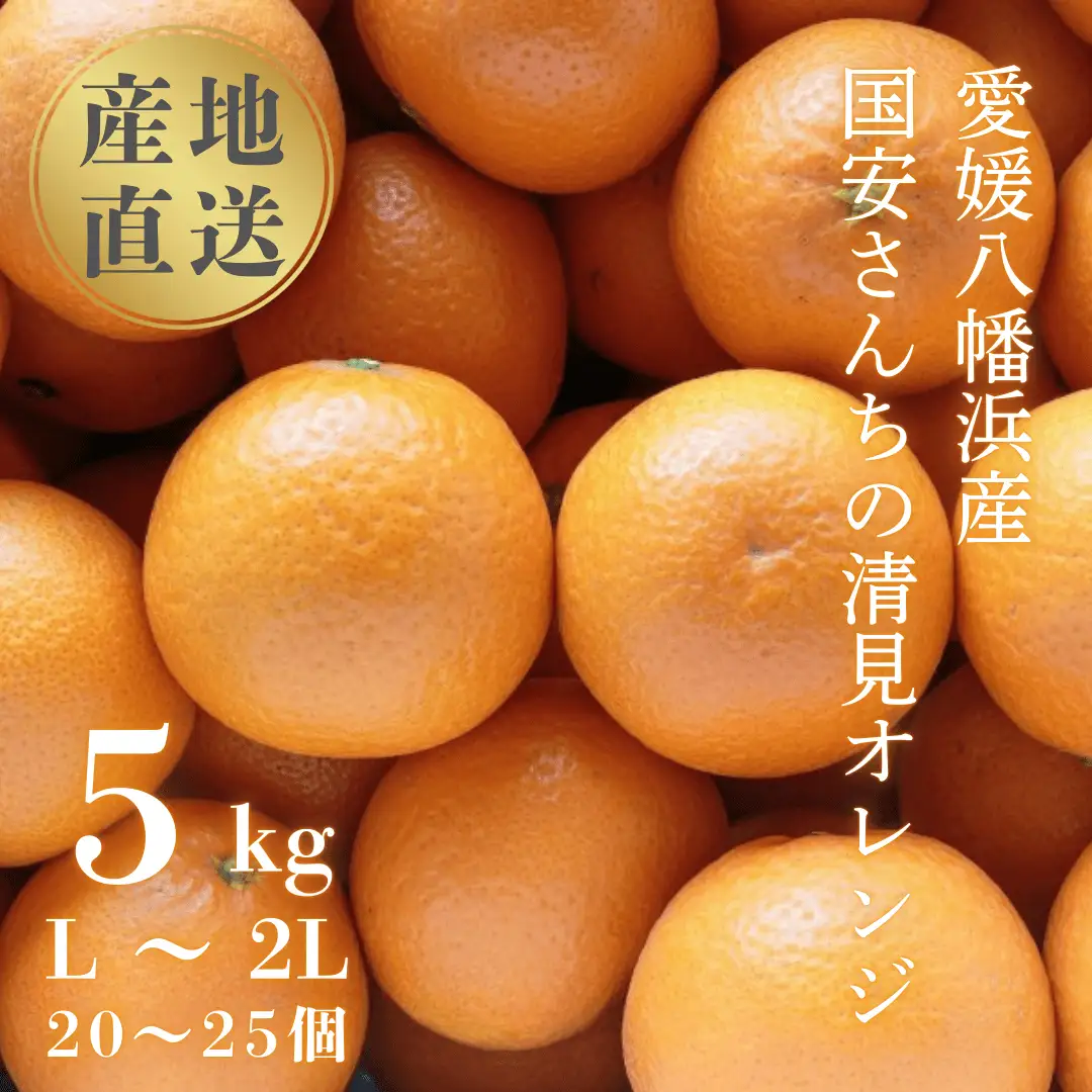 【先行受付】【まるで食べるジュース!越冬完熟品】愛媛産 清見オレンジ 5kg【D20-38】【1594848】 YWTI033