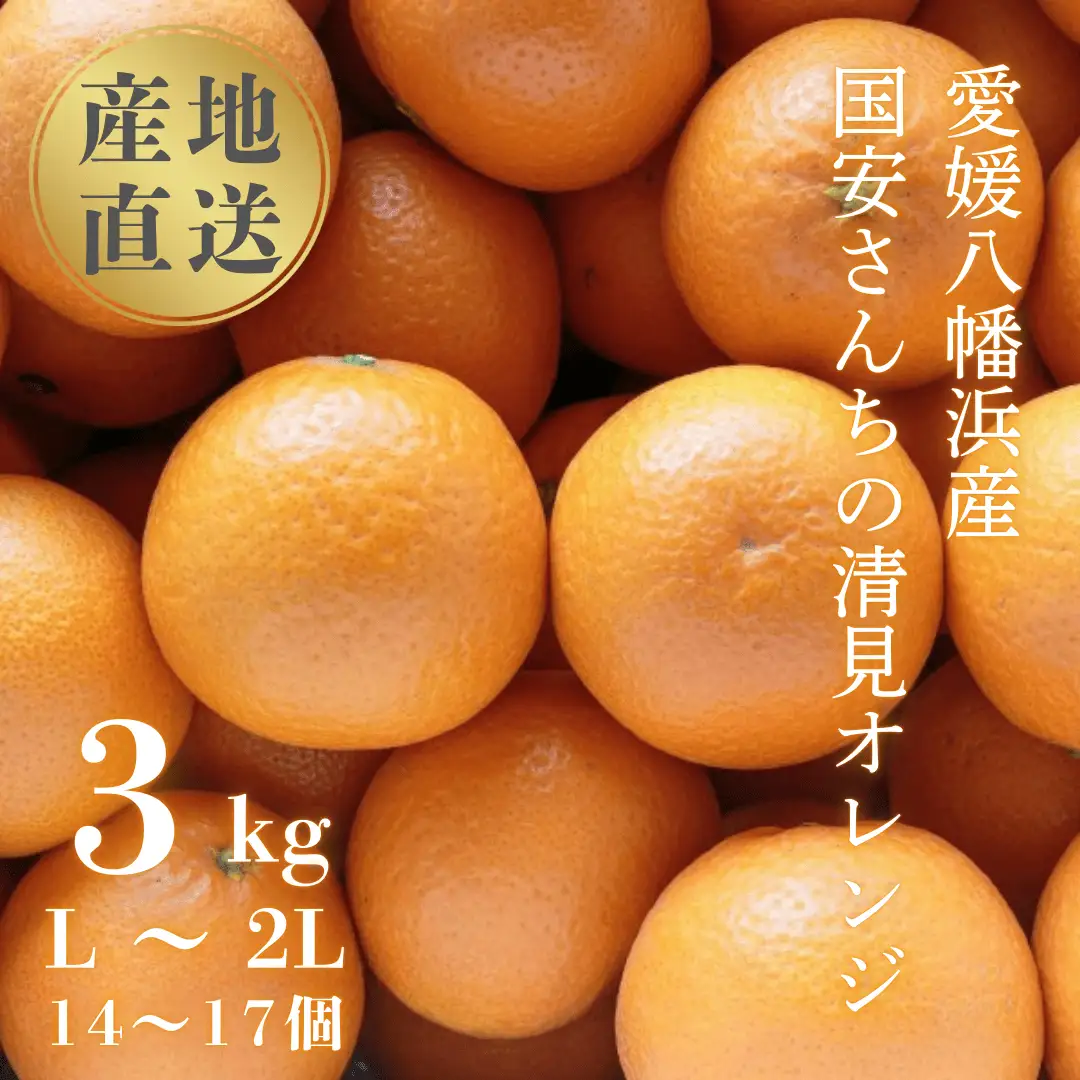 【先行受付】【まるで食べるジュース!越冬完熟品】愛媛産 清見オレンジ 3kg【C20-39】【1594850】 YWTI034