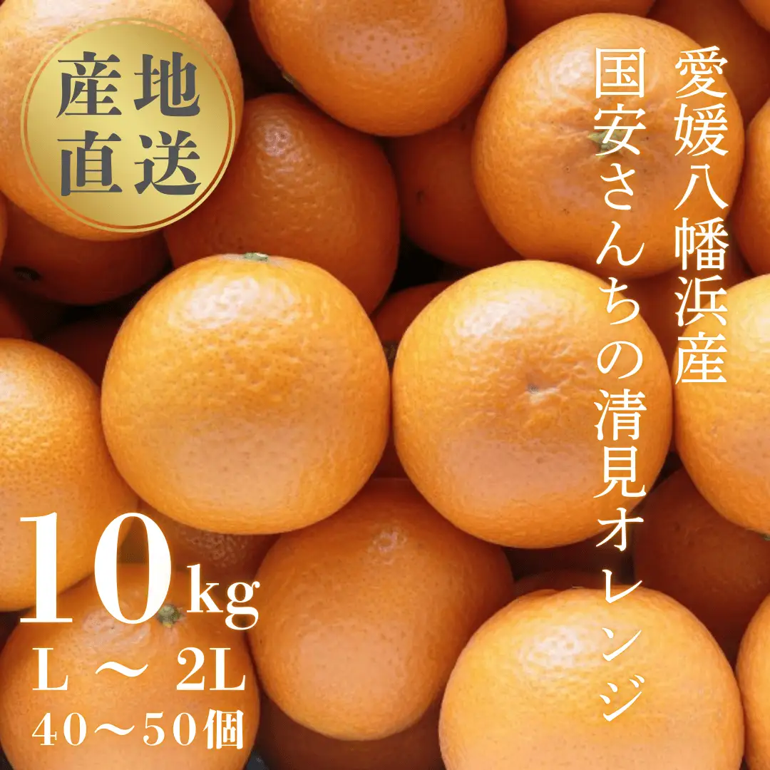 【先行受付】【まるで食べるジュース!越冬完熟品】愛媛産 清見オレンジ 10kg【G20-41】【1594852】 YWTI036