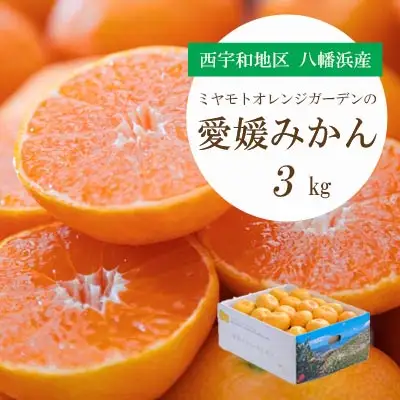 何個でも食べられる!西宇和地区八幡浜産 愛媛みかん3kg【C25-175】【1604463】 YWTAP116