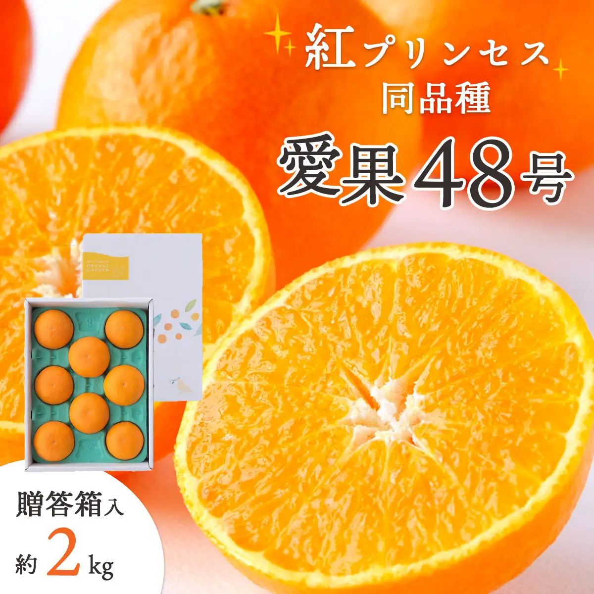 【先行受付】「紅プリンセス」と同品種!愛媛果試48号 贈答箱入り 約2kg【E25-182】【1607366】 YWTAP123