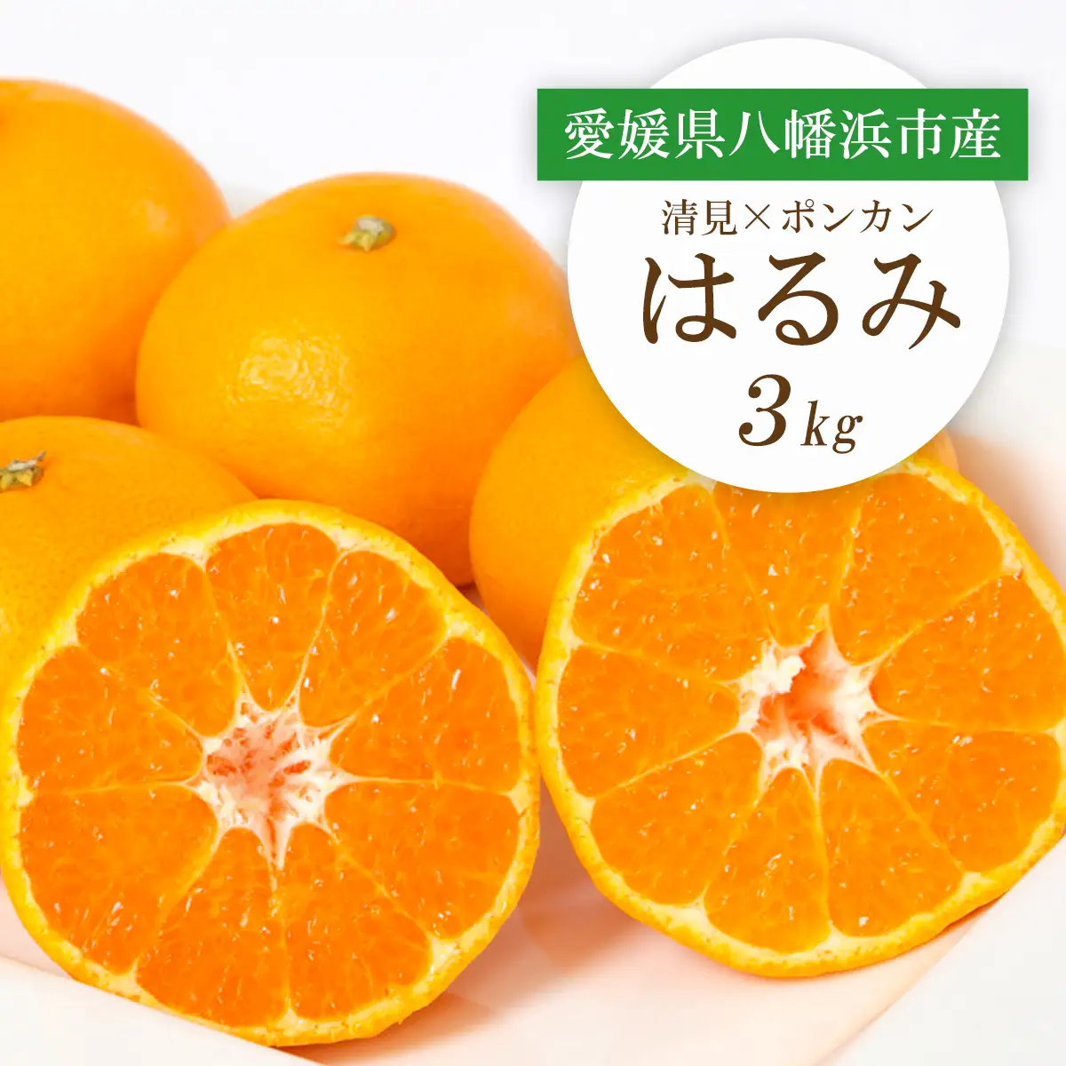 【先行受付】愛媛県八幡浜市産 はるみ3kg【C25-208】【1612537】 YWTAP149