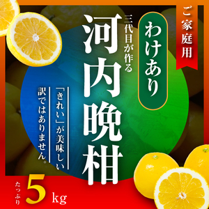 河内晩柑5kg【訳あり】【A31-50】【配送不可地域：離島】【1613967】 YWTAC039