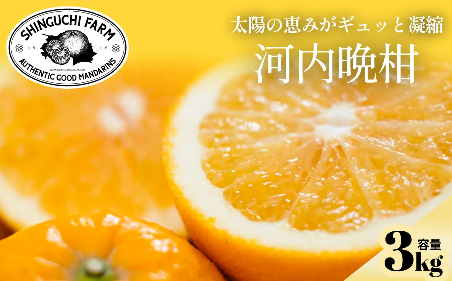 【先行受付】【太陽の恵みをギュッと凝縮】河内晩柑 3kg 愛媛県産【C70-70】【1615822】 YWTK069
