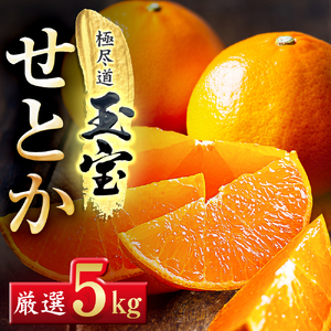 【先行受付】「玉宝ブランド」【せとか】5kg【G64-62】【1621005】 YWTY051