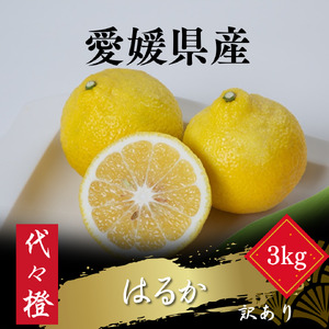 【爽やかな甘さ】【訳あり】はるか 3kg【A83-35】【1623657】 YWTW035