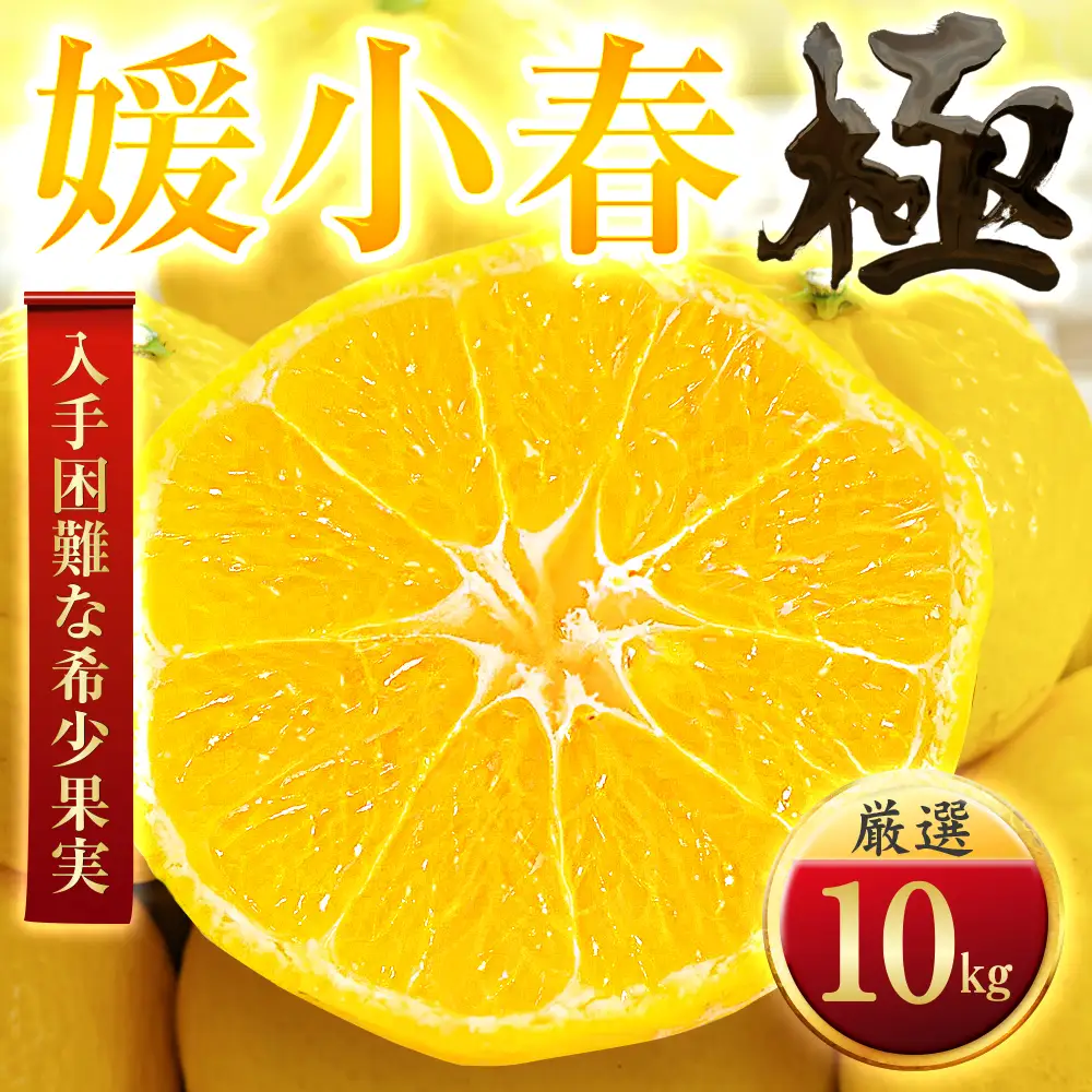 【太陽をたっぷり浴びた】媛小春(ひめこはる)【極】10kg【H49-101】【1623962】 YWTZ086