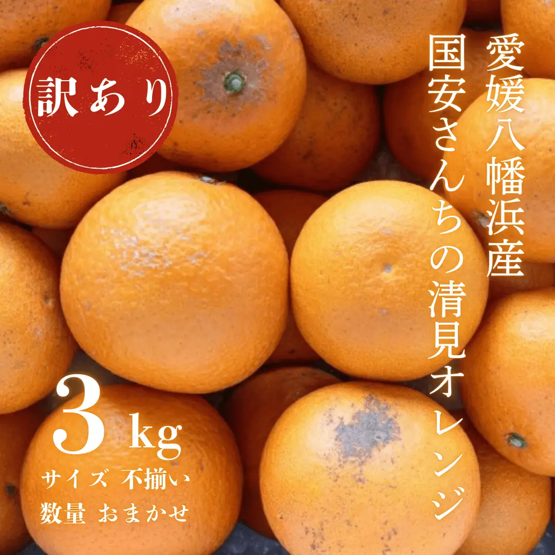 【先行受付】【まるで食べるジュース!越冬完熟品】愛媛産 訳あり 清見オレンジ 3kg【C20-87】【1625400】 YWTI082