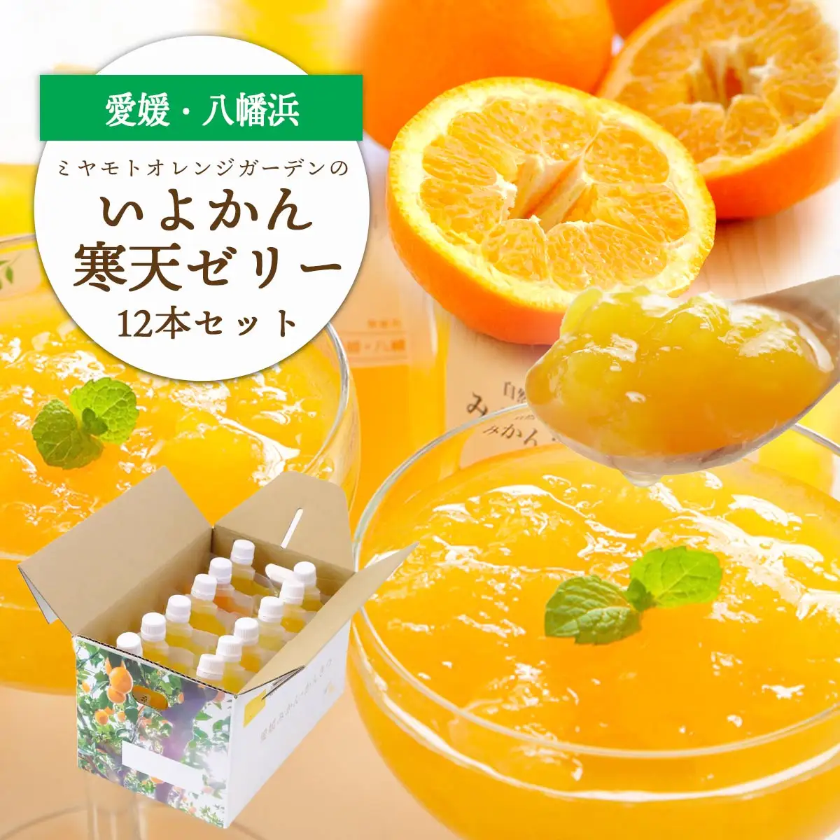 ゲル化剤・pH調整剤不使用!愛媛産 いよかん寒天ゼリー 12本セット【D25-222】【1628734】 YWTAP163