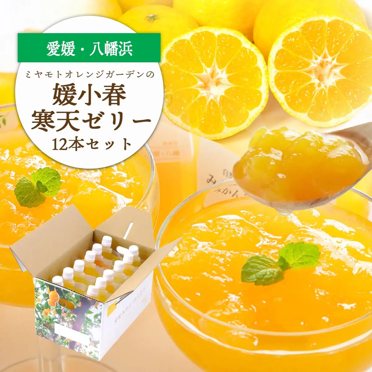 ゲル化剤・pH調整剤不使用!愛媛産 媛小春寒天ゼリー 12本セット【D25-227】【1629427】 YWTAP168