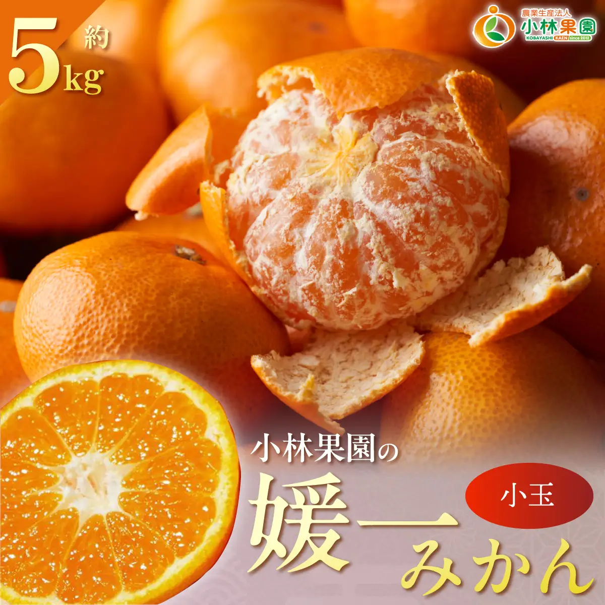 【先行受付】小林果園の媛一みかん【小粒】約5kg【C24-34】【1633616】 YWTAD025