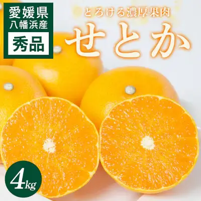 【先行受付】 せとか 4kg 愛媛県 八幡浜市 西宇和地区 とろける濃厚果肉 柑橘の女王【E25-326】【1714494】 YWTAP267