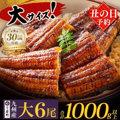 Z61-73R01 寄附額改定↓↓ 丑の日7/25までにお届け 国産 うなぎ 蒲焼大サイズ6尾（計1000g以上）うなぎ 丑の日