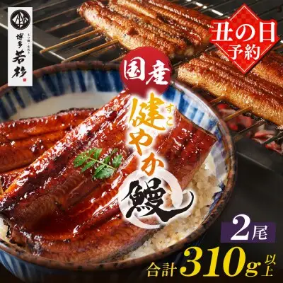 Z61-67R01 寄附額改定↓↓ 丑の日7/25までにお届け 健やか鰻 国産うなぎ蒲焼（無頭）2尾（計310g以上） うなぎ 丑の日