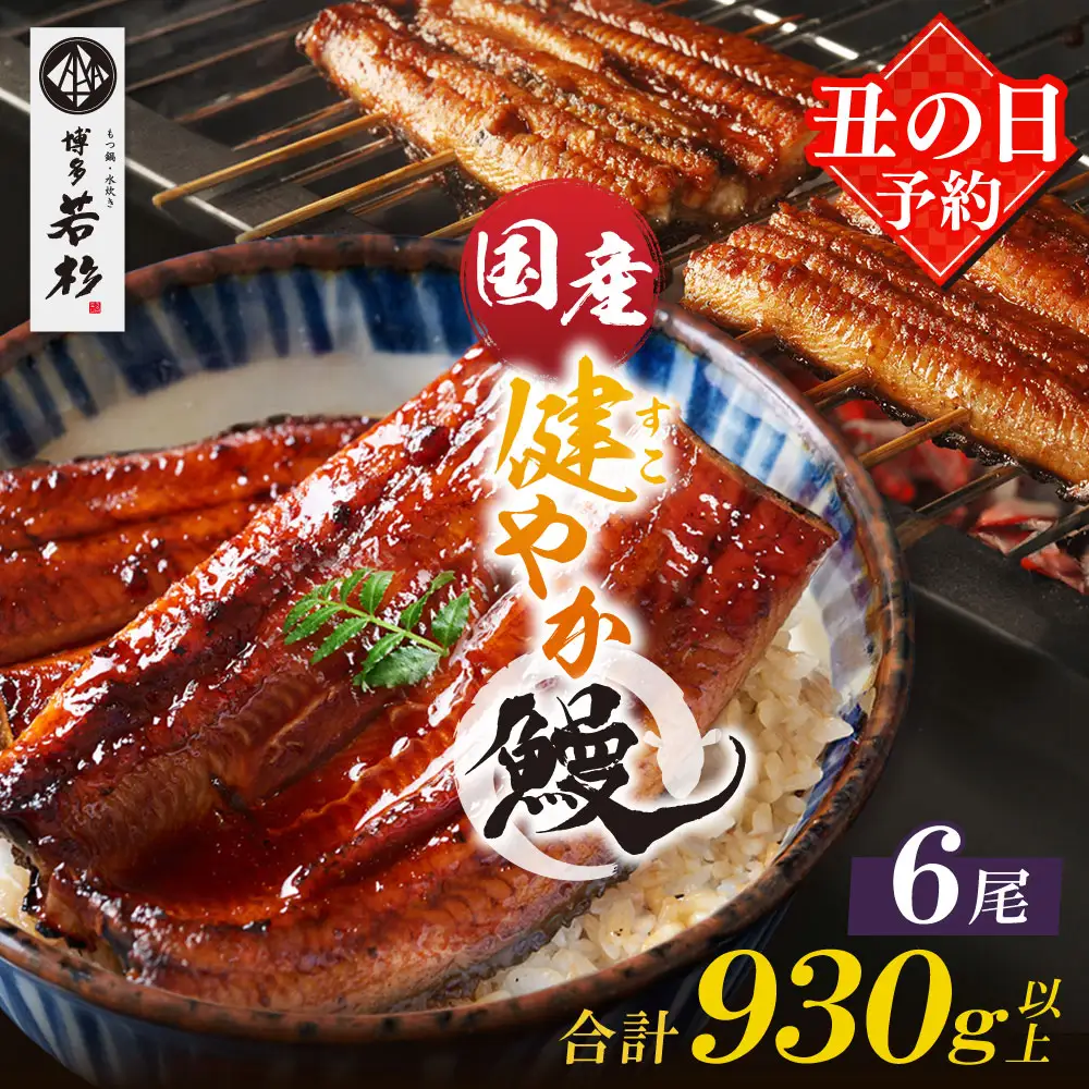 Z61-69R01 寄附額改定↓↓ 丑の日7/25までにお届け 健やか鰻 国産うなぎ蒲焼（無頭）6尾（計930g以上） うなぎ 丑の日