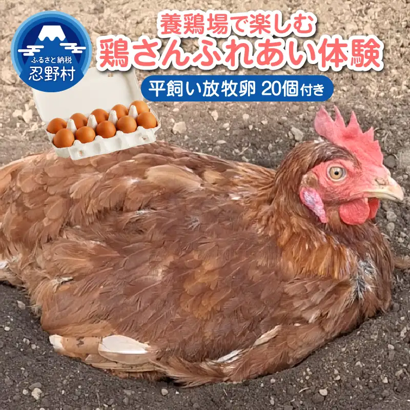 養鶏場で楽しむ鶏さんふれあい体験（平飼い放牧卵20個付き）