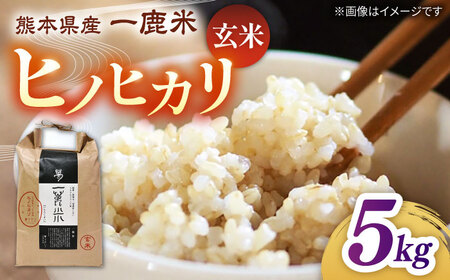【天日塩を使用】一鹿米 ヒノヒカリ 米 玄米5kg 【株式会社 夢アグリ】[ZCL029]