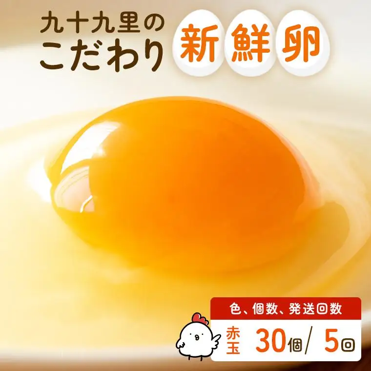 【定期便5回】九十九里ファームこだわりたまご贈答用 30個 ～あおい海・みどりの里～《赤玉》 たまご 卵 玉子 タマゴ 赤玉 卵かけご飯 新鮮 旨み 甘み 贈答用 贈答 ギフト 贈り物 千葉県 匝瑳市