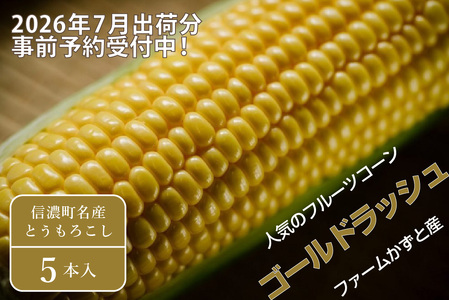 2026年夏のご予約受付開始！ 信濃町名産とうもろこし『ファームかずとのゴールドラッシュ 5本セット』粒皮が薄く生でも食べられる、フルーツを凌ぐほどの甘いとうもろこし 朝採れを農場から直送　令和8年7月下旬～8月下旬出荷分 先行予約【長野県信濃町ふるさと納税】